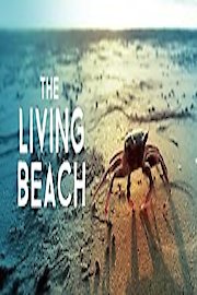 The Living Beach