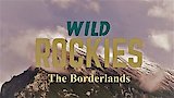 The Borderlands