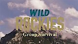 Group Survival