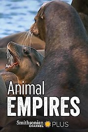 Animal Empires