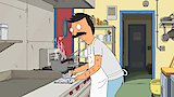 Insomnibob