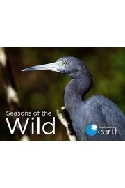 Seasons of the Wild