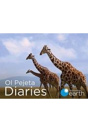 Ol Pejeta Diaries