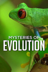 Mysteries of Evolution