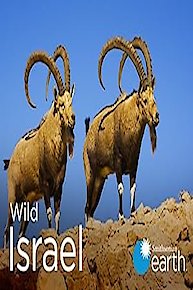 Wild Israel