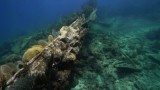 Shipwreck Reef