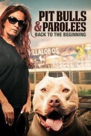 Pit Bulls & Parolees: Back to the Beginning