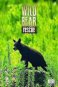 Wild Bear Rescue