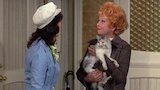 Lucy is N.G. as an R.N.