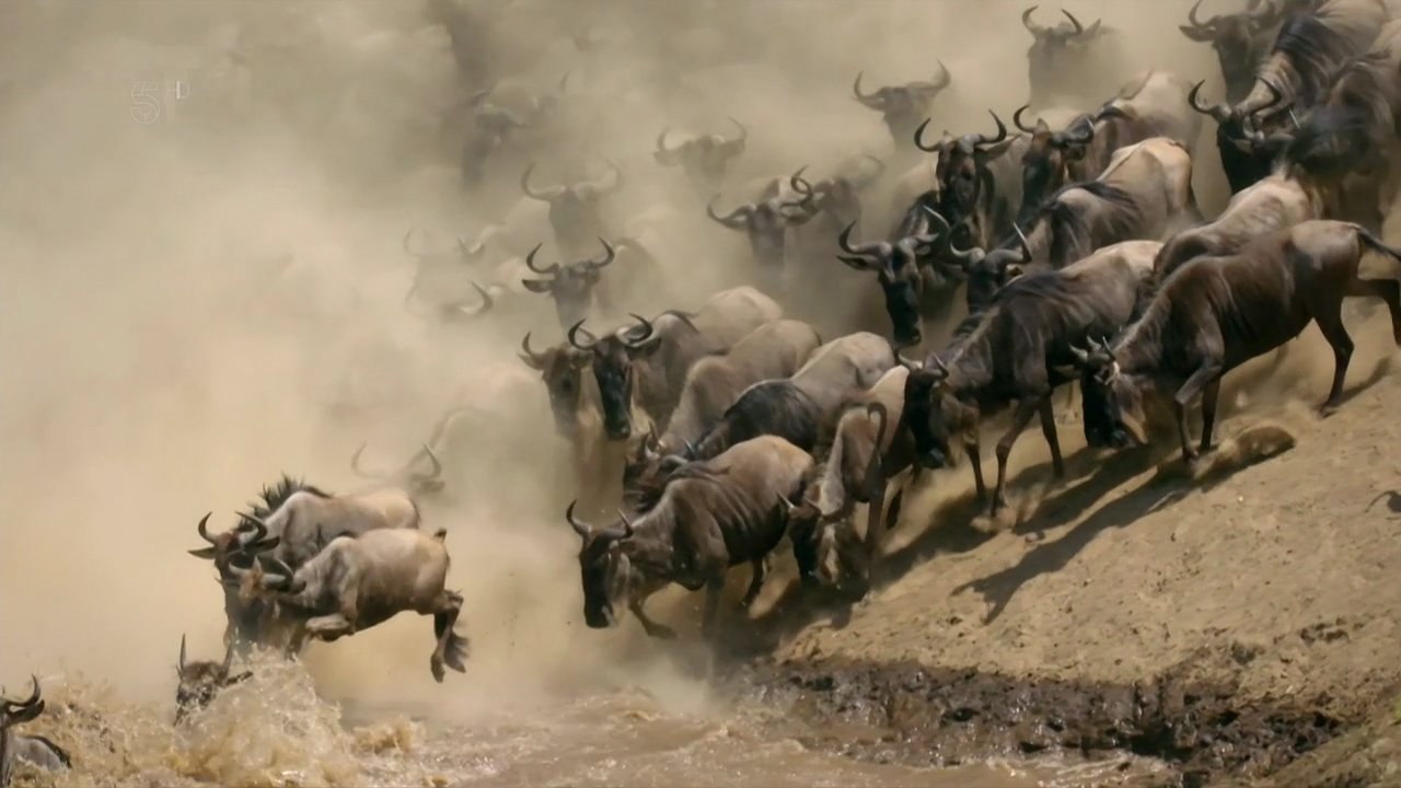 Ben Fogle: The Great African Migration