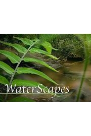 WaterScapes
