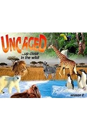 Uncaged...up close in the wild