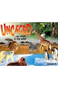 Uncaged...up close in the wild
