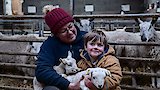 Lambs, Crops and Chicken Pox