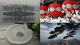 China and Japan