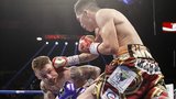 SCB: Santa Cruz vs. Frampton II