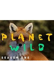 Planet Wild