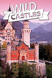 Wild Castles