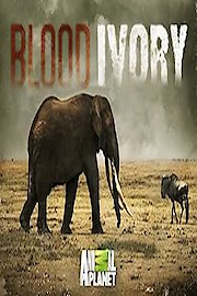 Blood Ivory