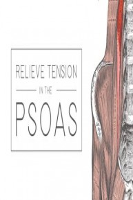 Relieve Tension in the Psoas