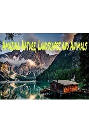 Amazing nature, landscapes and animals .