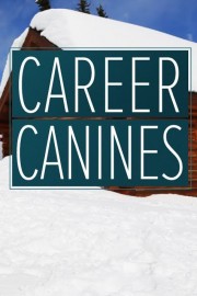 Career Canines