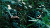 The Nature of War