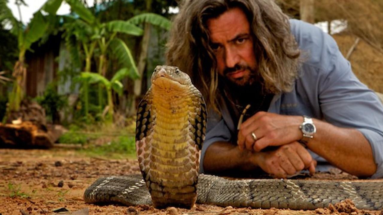 Man v. Animal