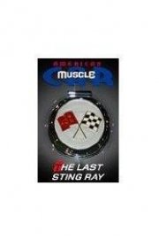 American Muscle Car: The Last Sting Ray