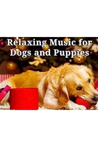 Relaxing Music for Dogs and Puppies