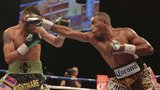 Showtime Championship Boxing: Lara vs. Gausha