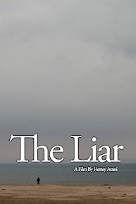 The Liar