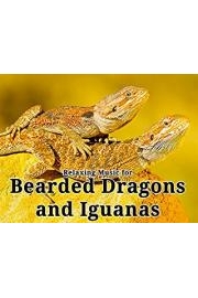 Relaxing Music for Bearded Dragons and Iguanas