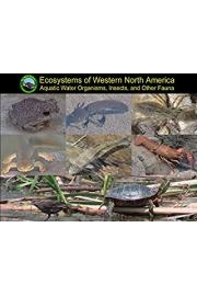 The Nature Explorers - Ecosystems of Western North America