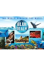 Blue Realm