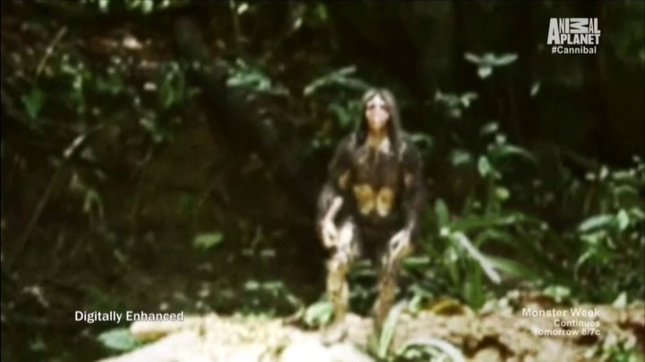 The Cannibal in the Jungle