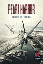 Pearl Harbor - The Heroes Who Fought Back