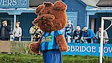 Bonzo the Redbridge Rover