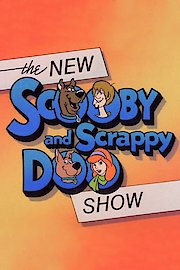 The New Scooby-Doo Mysteries