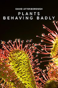 Plants Behaving Badly