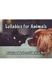 Lullabies for Animals Relaxing Music to Calm Your Pet!