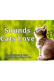 Sounds Cats Love: Gentle Sounds to Relax and Calm Down Your Pet Cat