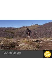 VIENTOS DEL SUR AIRE