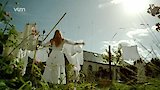The Oasis - part 1
