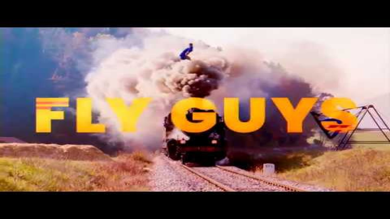 Fly Guys