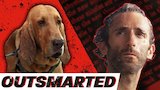 I Tried Escaping A Bloodhound