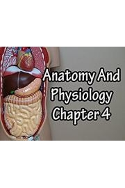 Anatomy And Physiology Chapter 4