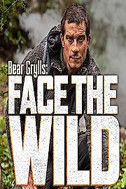 Bear Grylls: Face the Wild