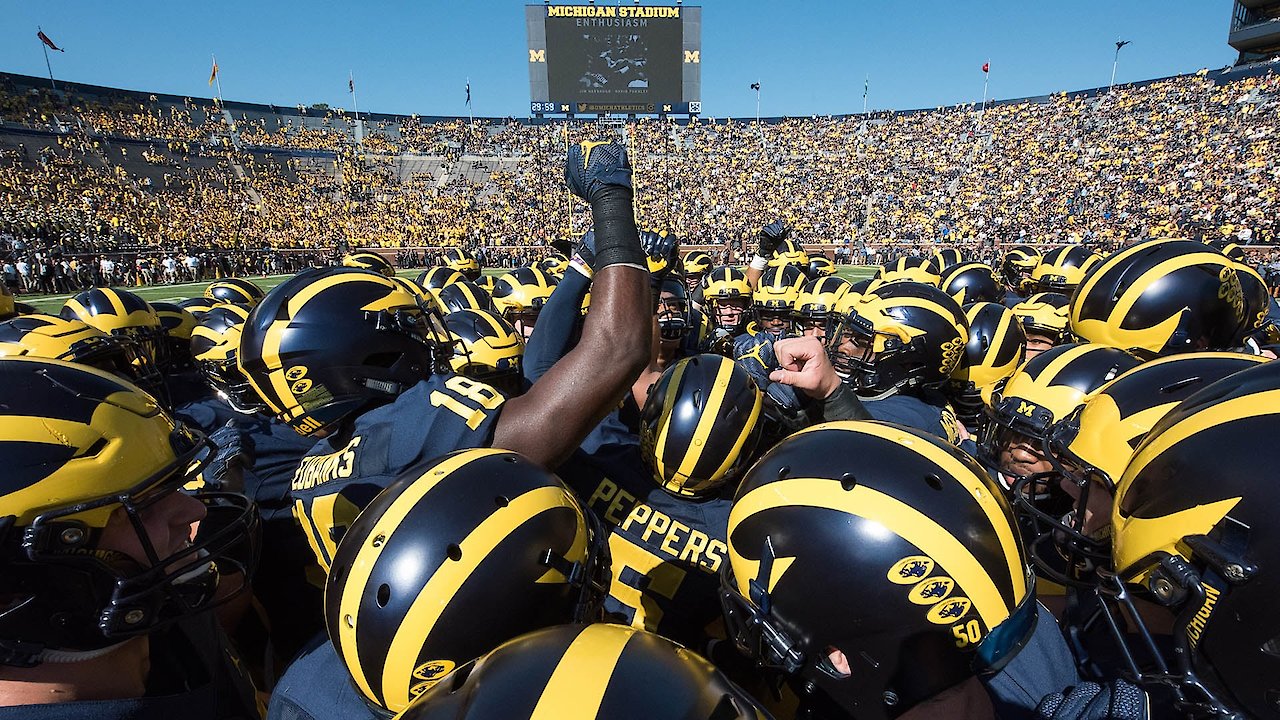 All or Nothing: The Michigan Wolverines