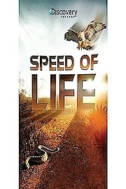 Speed of Life